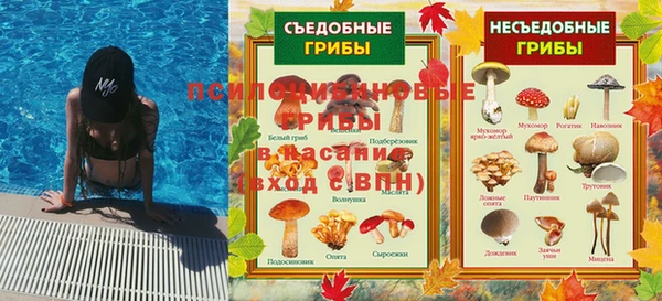 спайс Алексин