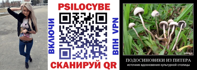 магазин продажи   Нытва  Псилоцибиновые грибы Psilocybine cubensis 